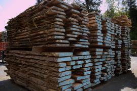 Locust Construction / building timber |  Hardwood | Timber | Wander Czech s.r.o.