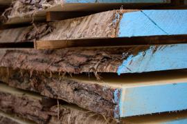 Locust Construction / building timber |  Hardwood | Timber | Wander Czech s.r.o.